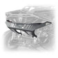 Defensa Trasera Maverick R