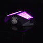 KIT DE ROCKLIGHTS